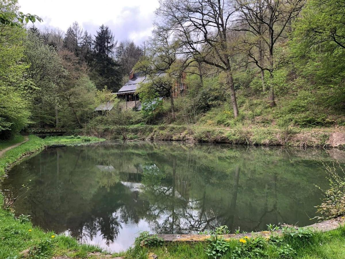 La Cabane D'Helie - Cottage En Pleine Foret - Domaine Du Bonsoy Hastiere-par-dela Eksteriør billede